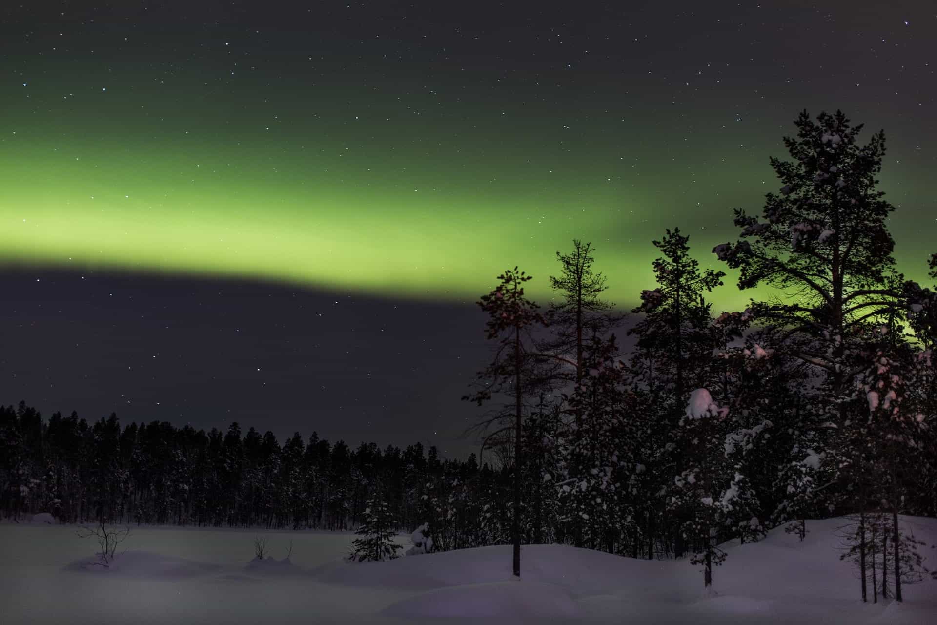 A stunning night scene of Finland’s world-famous Northern Lights, dancing atop a dark, snowy landscape.