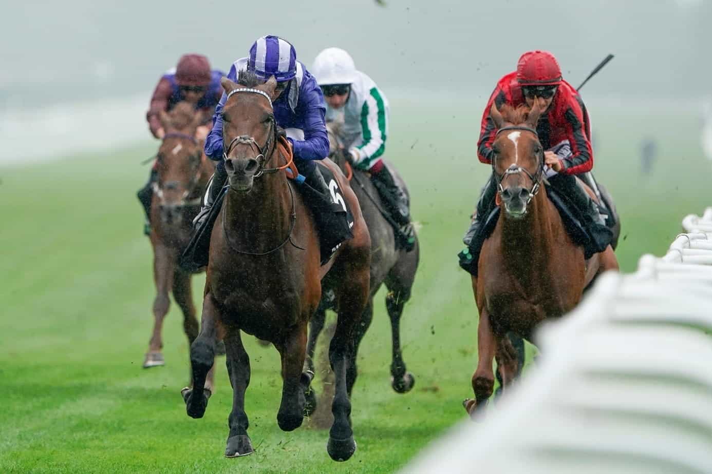 Hukum pulls ahead of his rivals to win the 2020 Geoffrey Freer Stakes.