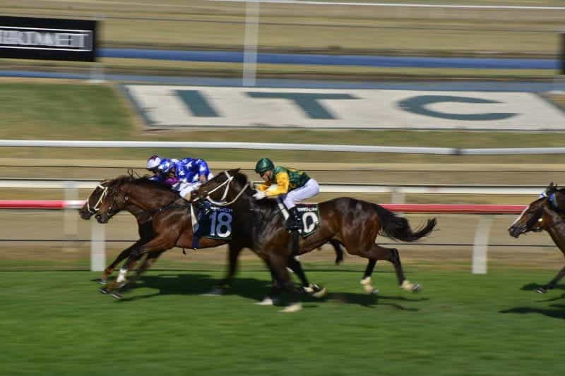 Three horses being ridden by jockeys in close race.