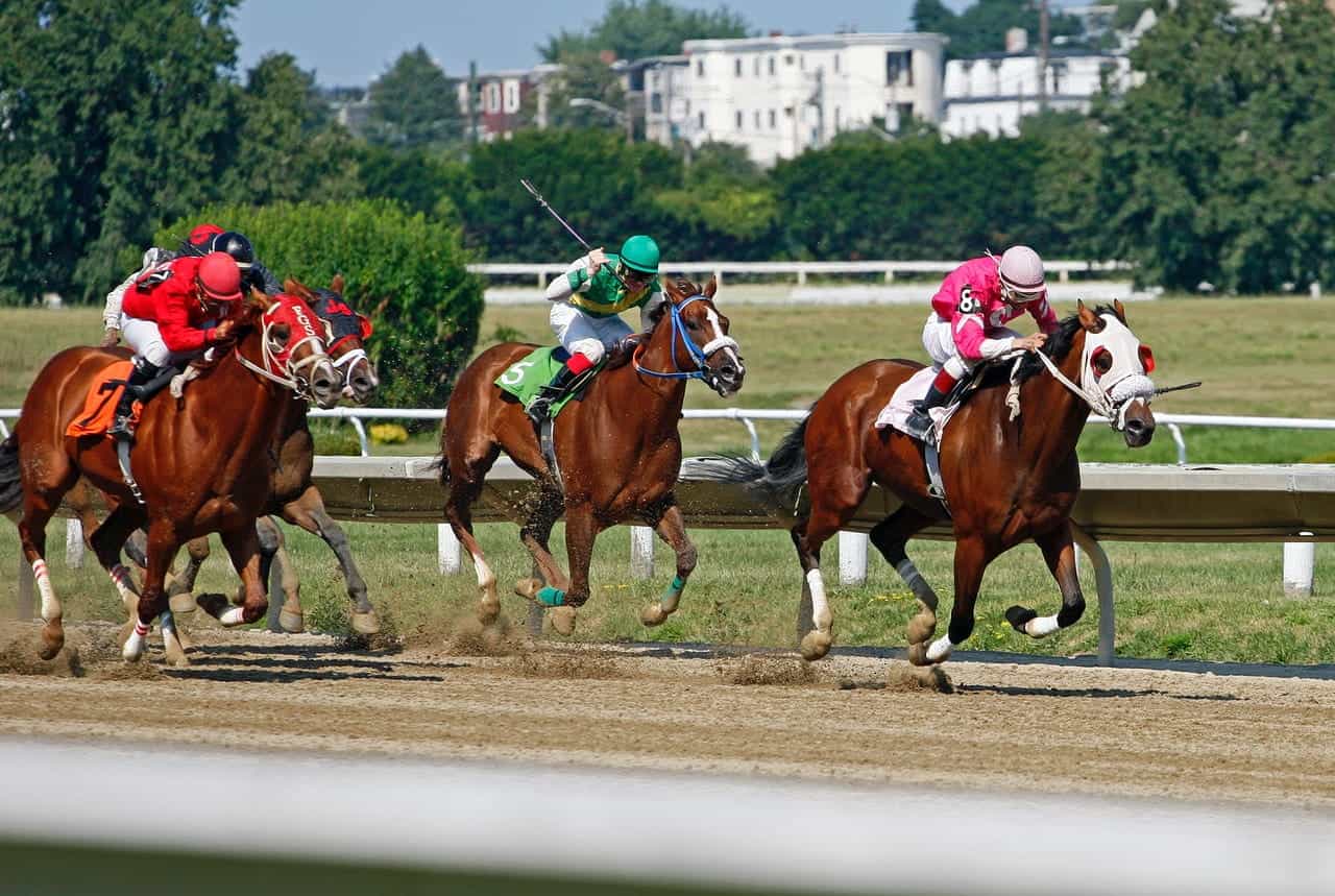 Jockeys racing horses around a race track.